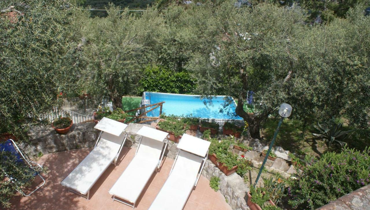 Casa Belvedere Σορέντο Εξωτερικό φωτογραφία